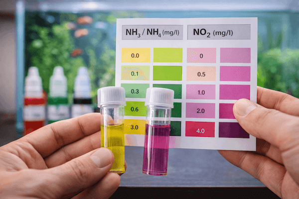 Akvarium-mereni-hodnot-3